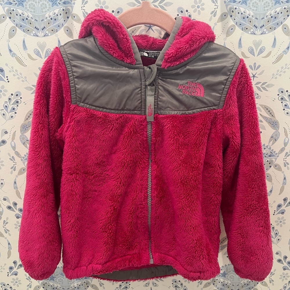 The North Face Oso Fleece Zip Hoodie